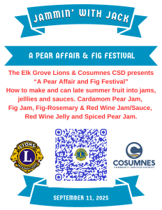 Jammin with jack flyer