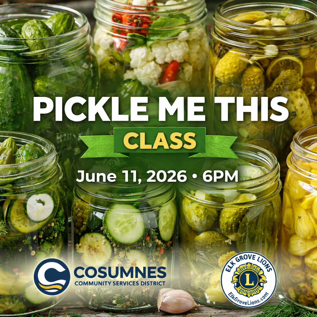 Pickle Me This Class Flyer